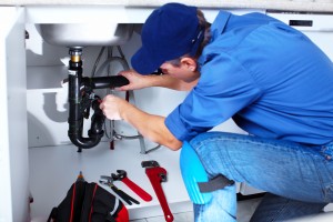 Castle Rock plumber