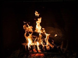 Wood burning fireplace